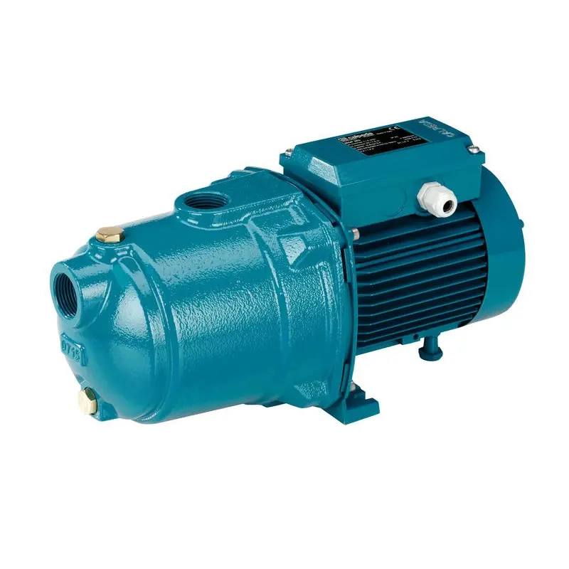 Calpeda Nglm 2/80 Self-Priming Jet Pump – 0.75 Hp Shallow Well System 1