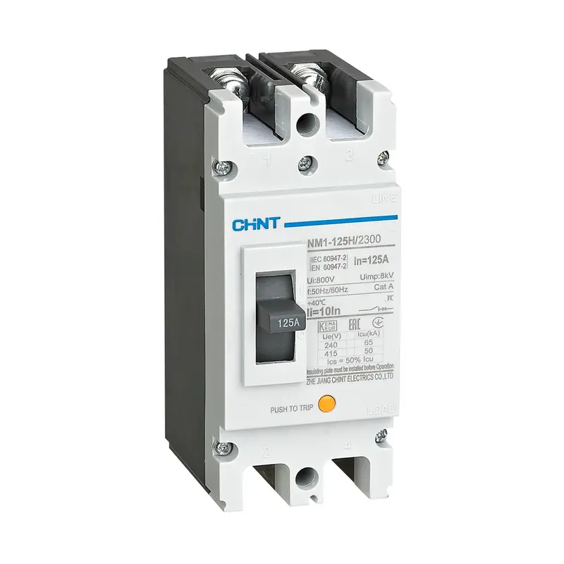 Chint Nm1-125H & Nm1-250H/2300 2-Pole Moulded Case Circuit Breaker – Type H, Dual-Pole Variant 1
