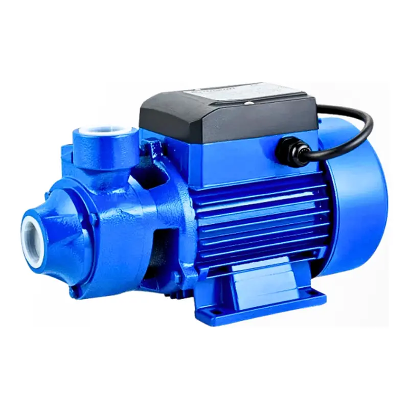 Dayuan Dkm60-1B 0.5Hp Portable Water Pump 1