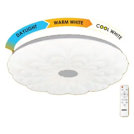 Firefly Daisy Led Ceiling Lamp – Remote-Operated Decorative Lighting 1