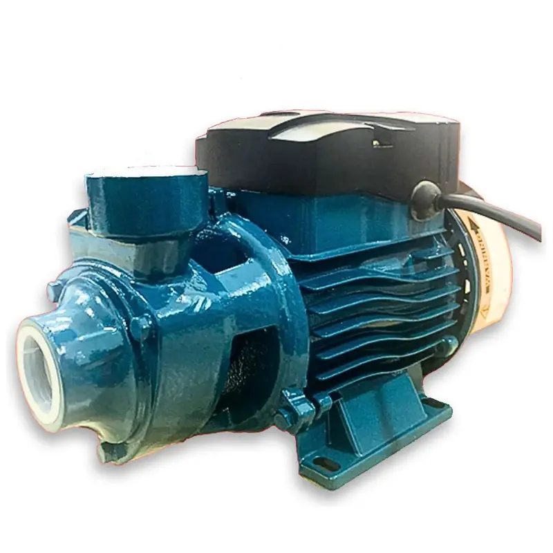 Jr Kawasaki 0.5-Hp Peripheral Water Pump For Irrigation And Transfer 1