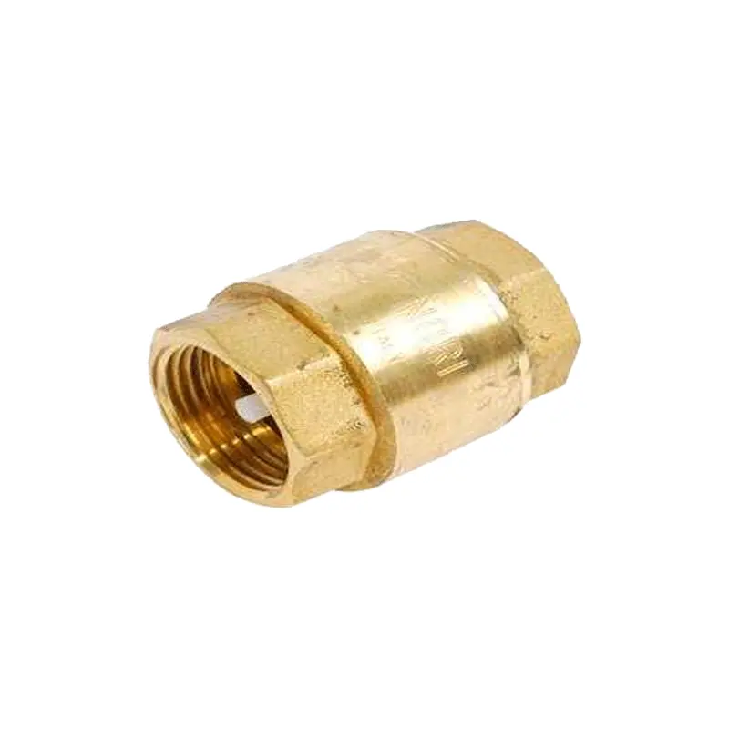 Nori Corrosion-Resistant Check Valve For Water Systems 1