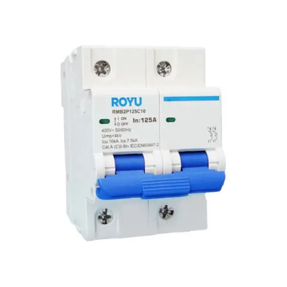 Royu 10Ka Two-Pole Miniature Circuit Breaker – Din Rail Mount (3 Modules) 1