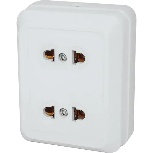 Royu Redou202 2-Gang 10A Wall Outlet 1