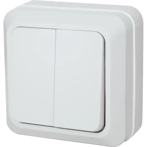 Royu Redsw202 Two-Gang 10A Toggle Switch 1