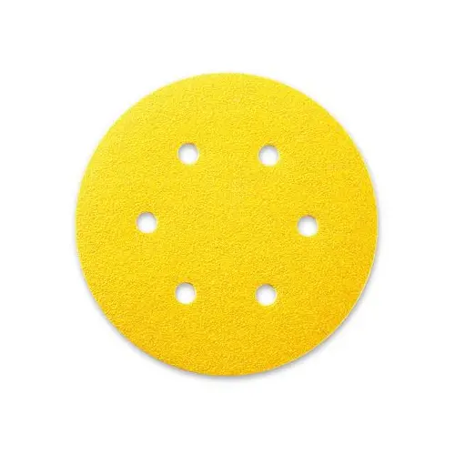 Sia Siarexx Velcro-Backed 5-Inch Sanding Disc 1